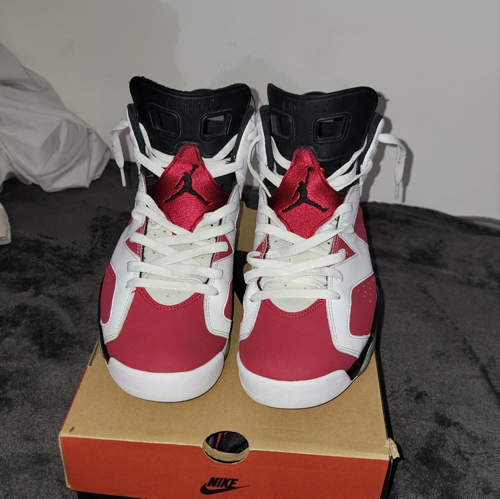 Jordan carmine 6s